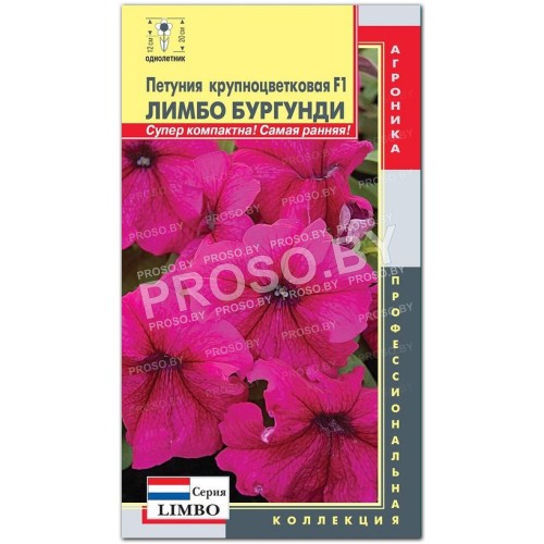 Петуния Лимбо Бургунди F1