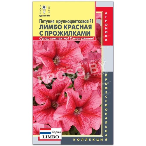 Петуния Лимбо Красная с прожилками F1