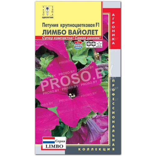 Петуния Лимбо Вайолет F1