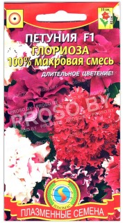 Петуния махровая Глориоза F1