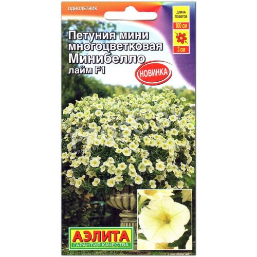 Петуния мини многоцветковая Минибелло лайм F1