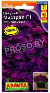 Петуния Мистрал фиолетовая F1
