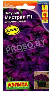 Петуния Мистрал фиолетовая F1