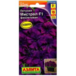 Петуния Мистрал фиолетовая F1