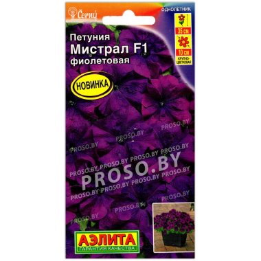 Петуния Мистрал фиолетовая F1
