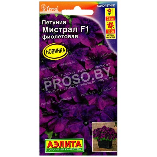 Петуния Мистрал фиолетовая F1