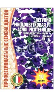 Петуния многоцветковая Candi picotee blue F1