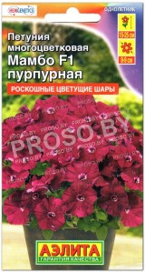 Петуния многоцветковая Мамбо пурпурная F1