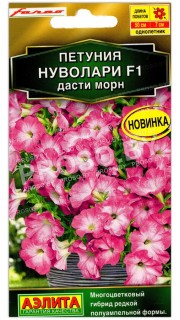 Петуния Нуволари дасти морн F1