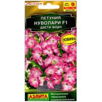 Петуния Нуволари дасти морн F1