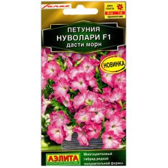 Петуния Нуволари дасти морн F1