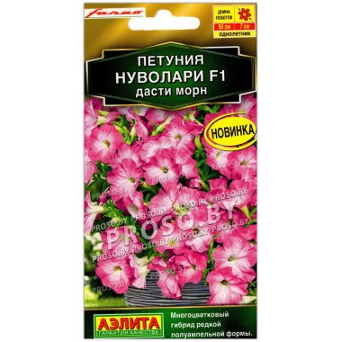 Петуния Нуволари дасти морн F1