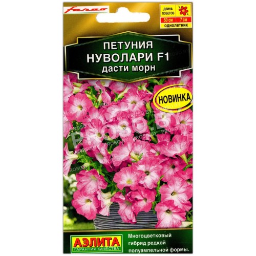 Петуния Нуволари дасти морн F1