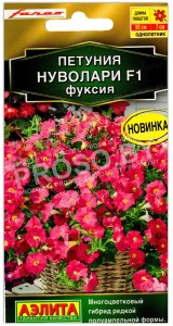 Петуния Нуволари фуксия F1