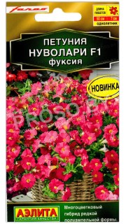 Петуния Нуволари фуксия F1