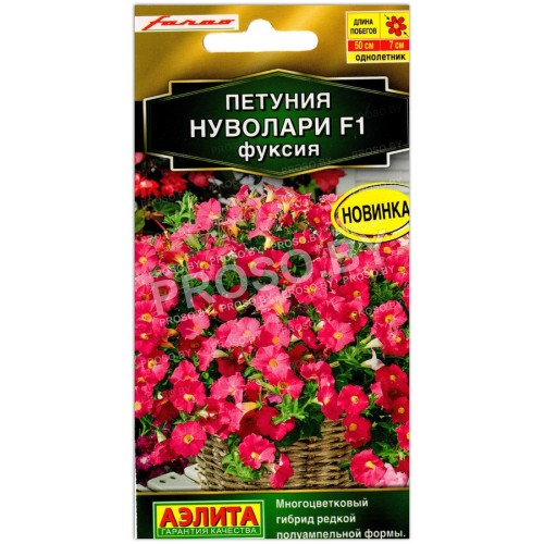 Петуния Нуволари фуксия F1