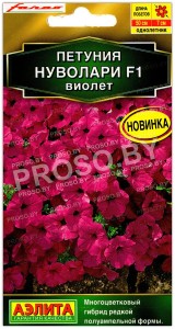 Петуния Нуволари виолет F1