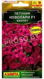 Петуния Нуволари виолет F1