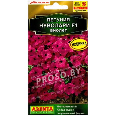Петуния Нуволари виолет F1