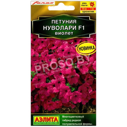 Петуния Нуволари виолет F1