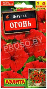 Петуния Огонь