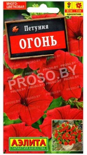 Петуния Огонь
