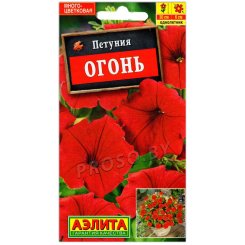 Петуния Огонь