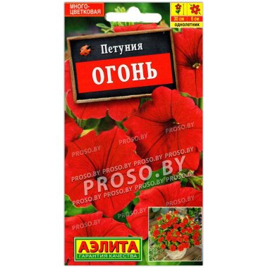 Петуния Огонь