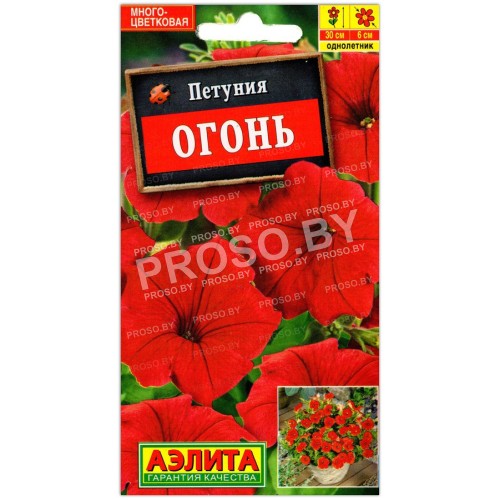 Петуния Огонь