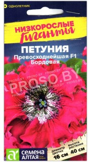Петуния превосходнейшая Бордовая F1