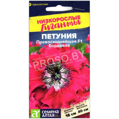 Петуния превосходнейшая Бордовая F1