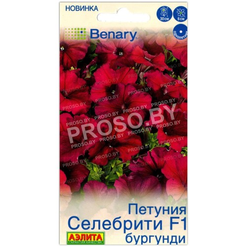 Петуния Селебрити бургунди F1