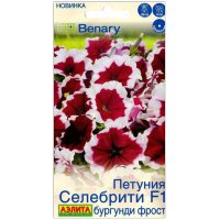 Петуния Селебрити бургунди фрост F1