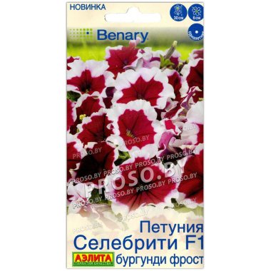 Петуния Селебрити бургунди фрост F1