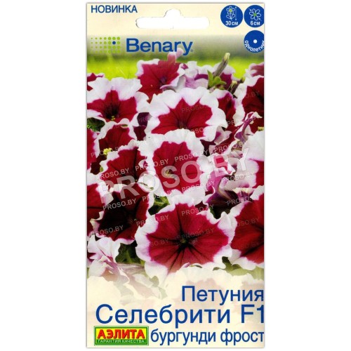 Петуния Селебрити бургунди фрост F1