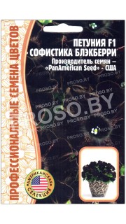 Петуния Софистика блэкберри F1