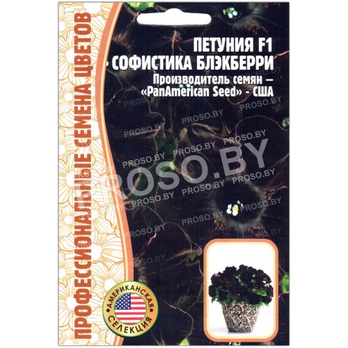 Петуния Софистика блэкберри F1