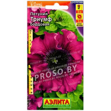 Петуния Триумф бордовая