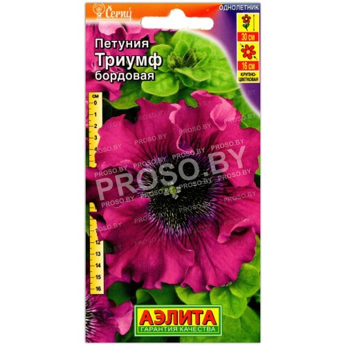 Петуния Триумф бордовая