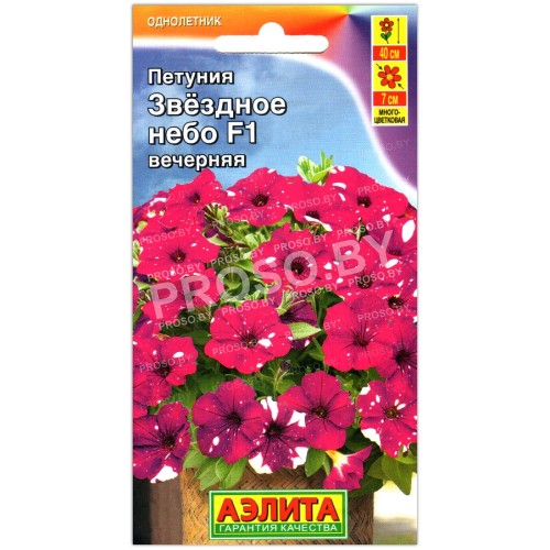 Петуния Звездное небо вечерняя F1