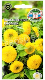 Подсолнечник Гномик