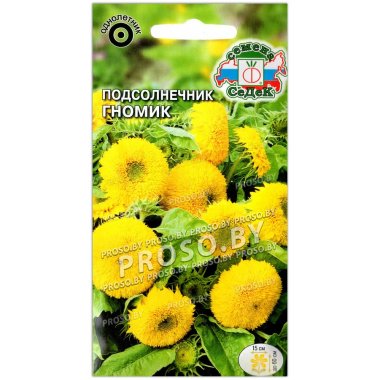 Подсолнечник Гномик