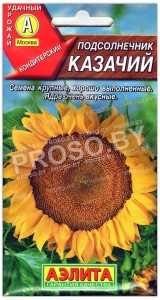 Подсолнечник Казачий