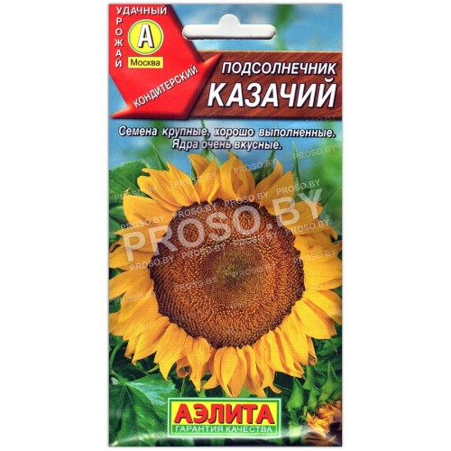 Подсолнечник Казачий