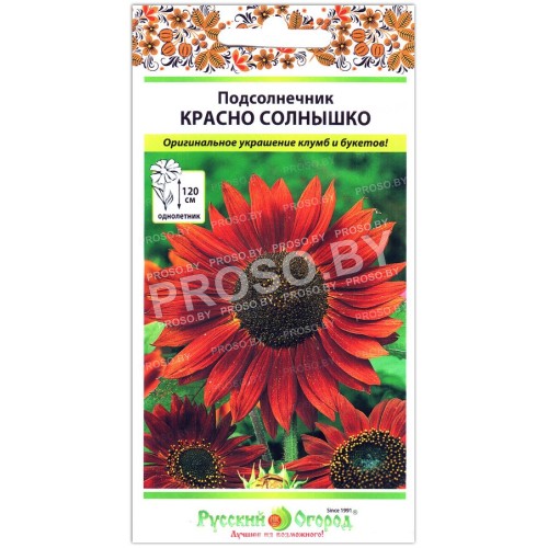 Подсолнечник Красно солнышко