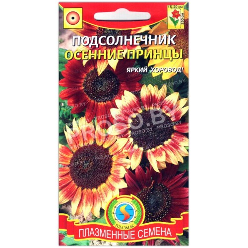 Подсолнечник Осенние принцы