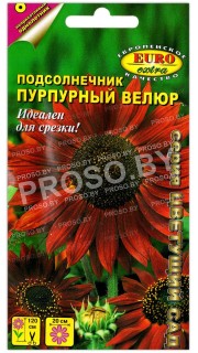 Подсолнечник Пурпурный велюр