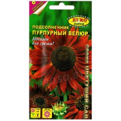 Подсолнечник Пурпурный велюр