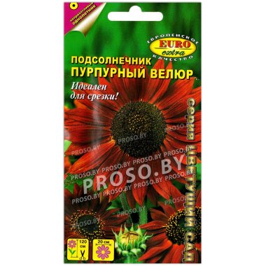 Подсолнечник Пурпурный велюр