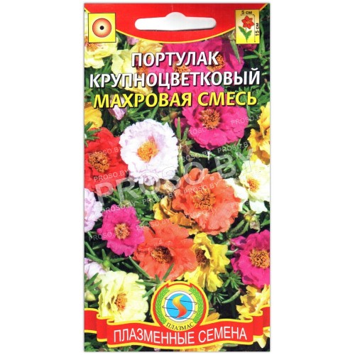 Портулак крупноцветковый Махровая смесь